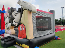 Mickey20Bouncer Upclose 1746219657 Mouse Bounce