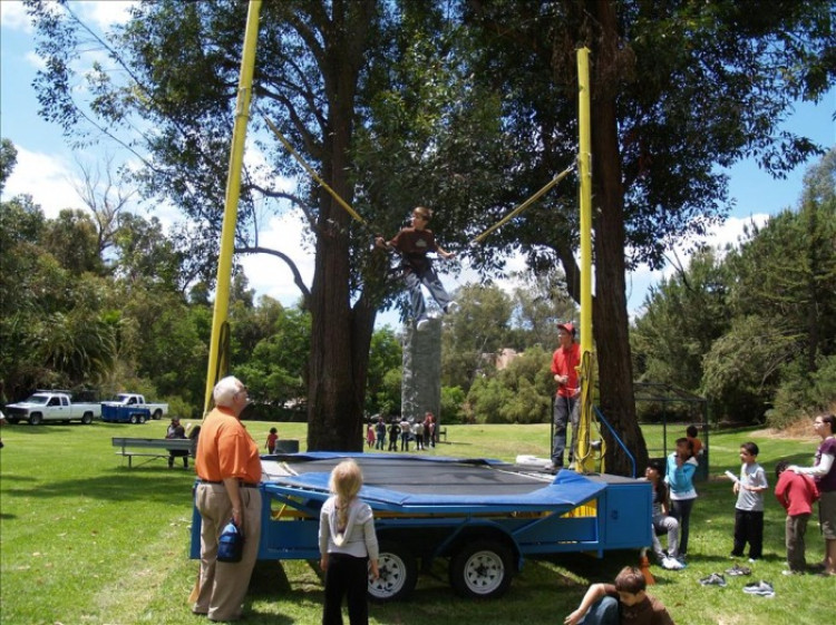 Single Euro Bungee