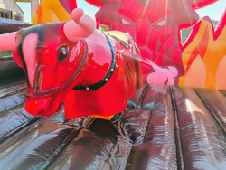 riding20bull20face2020eye 1759860900 Red Riding Bull