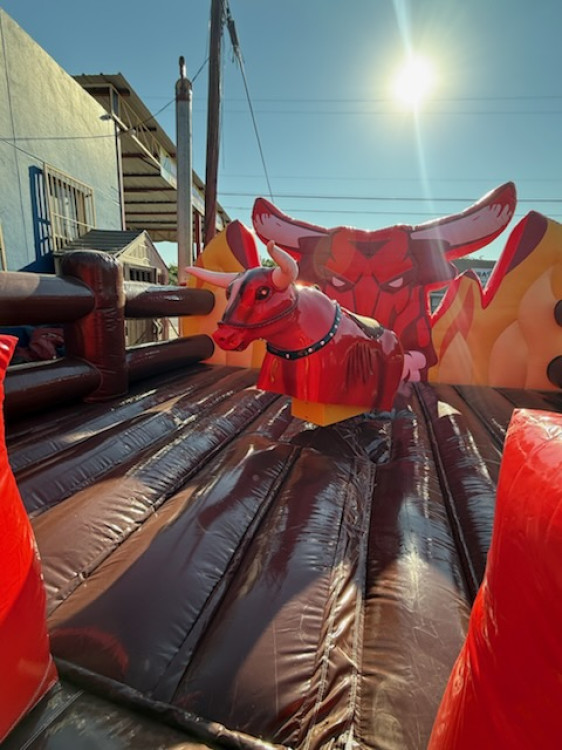 Red Riding Bull