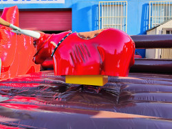 riding20bull20side20bull 1759860899 Red Riding Bull